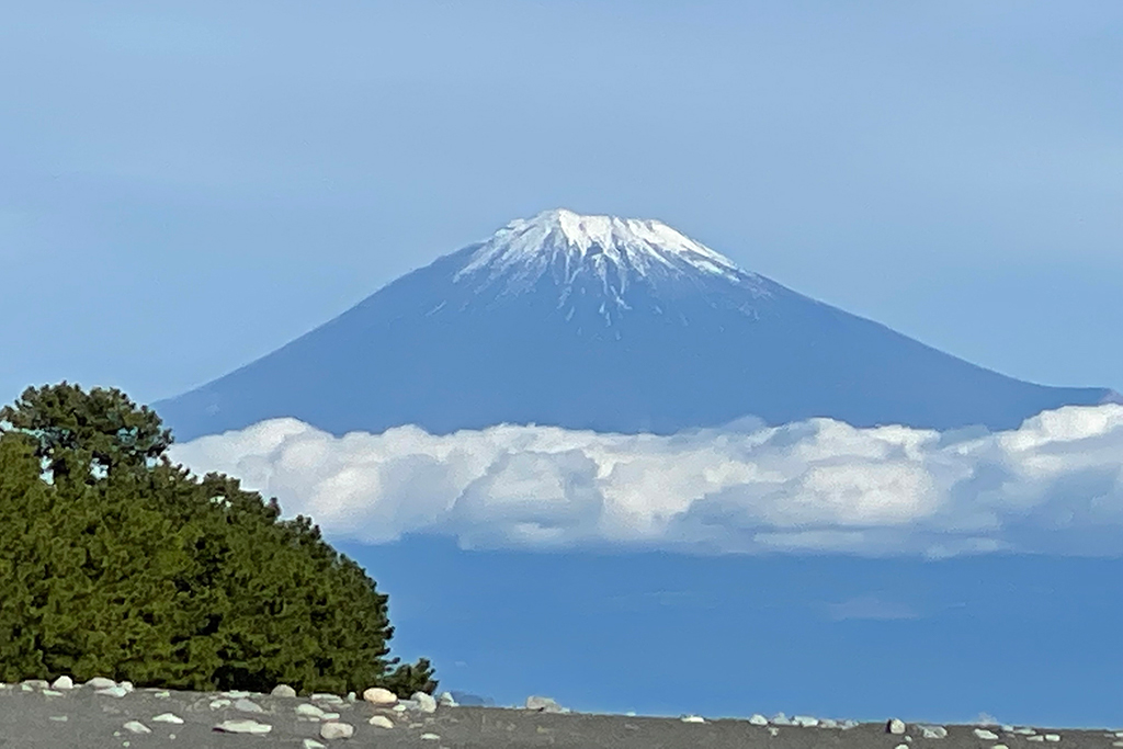 中央コリドー グループ